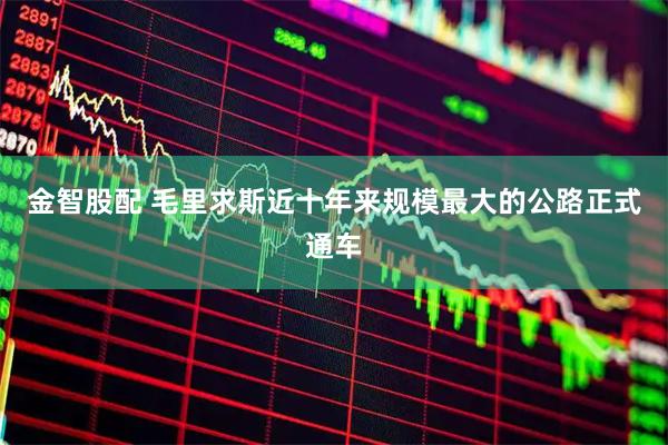 金智股配 毛里求斯近十年来规模最大的公路正式通车