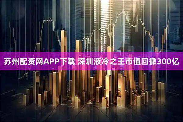 苏州配资网APP下载 深圳液冷之王市值回撤300亿